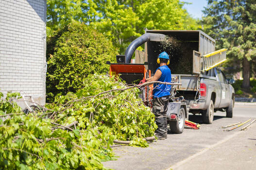 Man putting tree branches in wood chipper